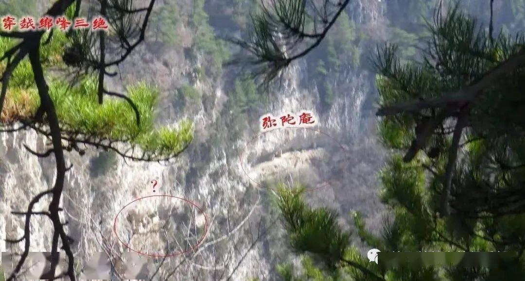 小猫钓鱼游戏龙王版有船