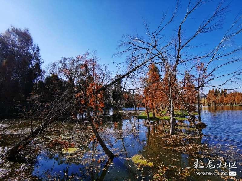 心系独居老人 敲门入户送温暖