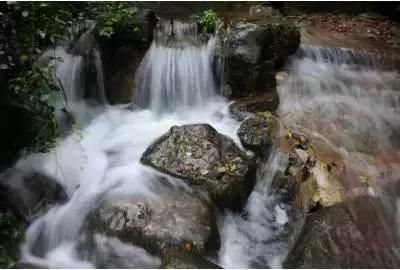 吃错1颗药ICU住7天，“家庭常备药”为何也会这么危险？