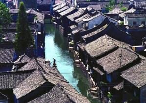 呆萌动物园