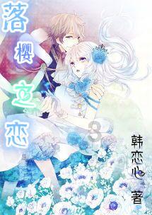 豪华轿车记忆卡